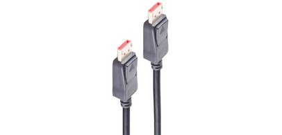 Câble DisplayPort 1.4 BASIC-S, 5 m