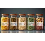 Étiquette universelle, 210 x 148 mm, transparent