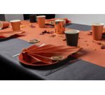 20 Assiettes en carton rondes, 23 cm