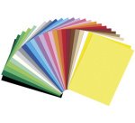 Carton, (L)250 x (H)350 mm, 300 g/m2, assorti