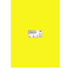 Carton de couleur, (L)500 x (H)700 mm, assorti