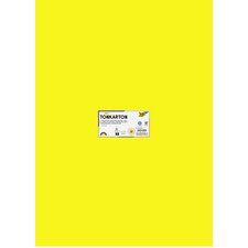 Carton de couleur, (L)500 x (H)700 mm, assorti