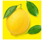 Spray multi-usage, vaporiser-essuyer-terminé