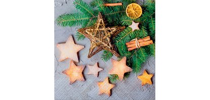 CACTUS Serviette à motif de Noël 'Étoiles'