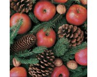 Serviette à motif de Noël 'Pommes'