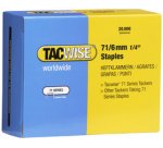 Agrafes 71/8 mm galvanisées, 20.000 pièces