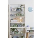 Essence M Storage Bin, Green