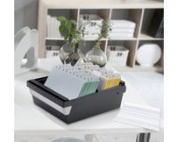 Fiches bristol, 105 x 750 mm, ligné, blanc