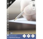 Feuillets mobiles, 220 x 297 mm, uni, 100 pages