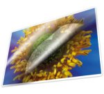 Pochette de plastification, A4, 200 microns