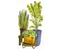 Marqueur ciao 'LAYER & MIX Starter Set', Botanic