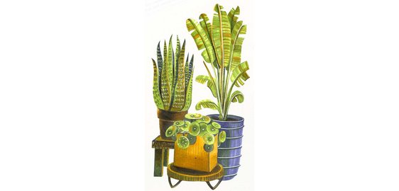 Markeerstift ciao 'LAYER & MIX Starter Set', Botanic