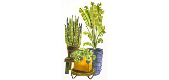 Marqueur ciao 'LAYER & MIX Starter Set', Botanic