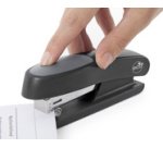 Agrafeuse Sting Ray & Agrafes - Business Pack