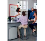 Poubelle à capteur 'NO TOUCH DUO', 2 x 20 litres