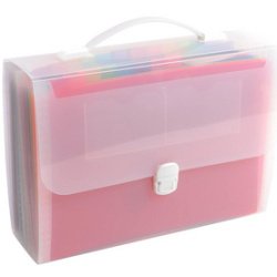 Trieur valisette avec poignée 24 compartiments Crystal - A4 - Cristal