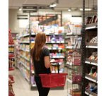 Panier à provisions avec poignées, 22 litres, rouge
