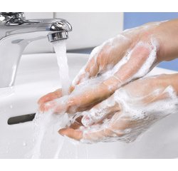 TORK Savon mousse doux pour mini-distributeur, 525 ml