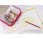 Étui scolaire Chaton, 42 pièces