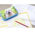 Étui scolaire Chien, 42 pièces