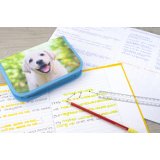 Étui scolaire Chien, 42 pièces