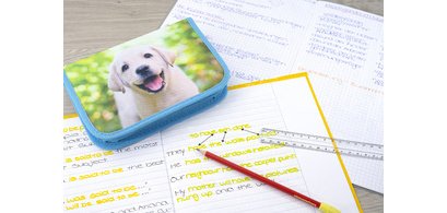 Étui scolaire Chien, 42 pièces