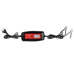 Chargeur pour batterie de voiture 2/4A, 6/12V