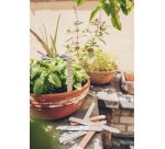 Pâte à modeler EFA plast classic