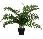 Plante artificielle 'fougère', hauteur: 550 mm