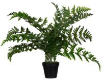 Plante artificielle 'fougère', hauteur: 550 mm