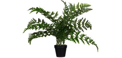 Plante artificielle 'fougère', hauteur: 550 mm