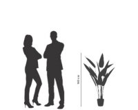 Kunstplant 'paradijsvogel', (H)1,15 m