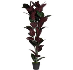 Plante artificielle 'caoutchouc', hauteur: 360 mm