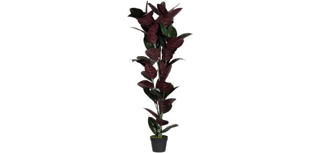 Plante artificielle 'caoutchouc', hauteur: 360 mm