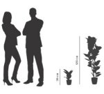 Plante artificielle 'caoutchouc', hauteur: 360 mm