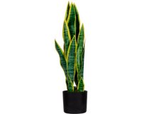Plante artificielle 'sanseviera', hauteur: 650 mm