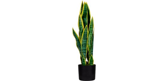 Artificial plant 'sansevieria', height: 650 mm