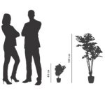 Plante artificielle 'monstera', hauteur: 450 mm