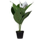 Plante artificielle 'fleur de lune', (H)550 mm