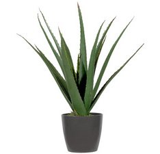 Plante artificielle 'aloe vera', hauteur: 450 mm