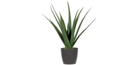 Plante artificielle 'aloe vera', hauteur: 450 mm