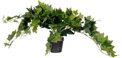 Plante artificielle 'lierre', hauteur: 800 mm
