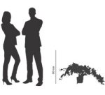 Plante artificielle 'lierre', hauteur: 800 mm