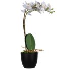 Plante artificielle 'orchidée', (H)400 mm, blanc
