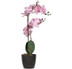 Plante artificielle 'orchidée', (H)500 mm, rose