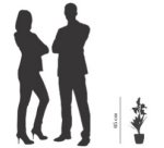 Plante artificielle 'fleurs de lys', (H)650 mm