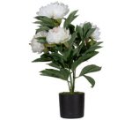 Plante artificielle 'pivoine', (H)550 mm