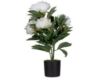 Kunstplant 'pioen', (H)550 mm