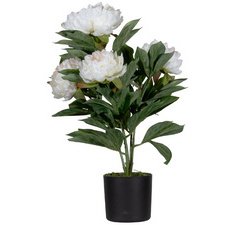 Plante artificielle 'pivoine', (H)550 mm, blanc