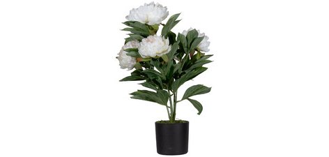 Plante artificielle 'pivoine', (H)550 mm